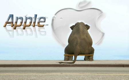 apple ipad mini